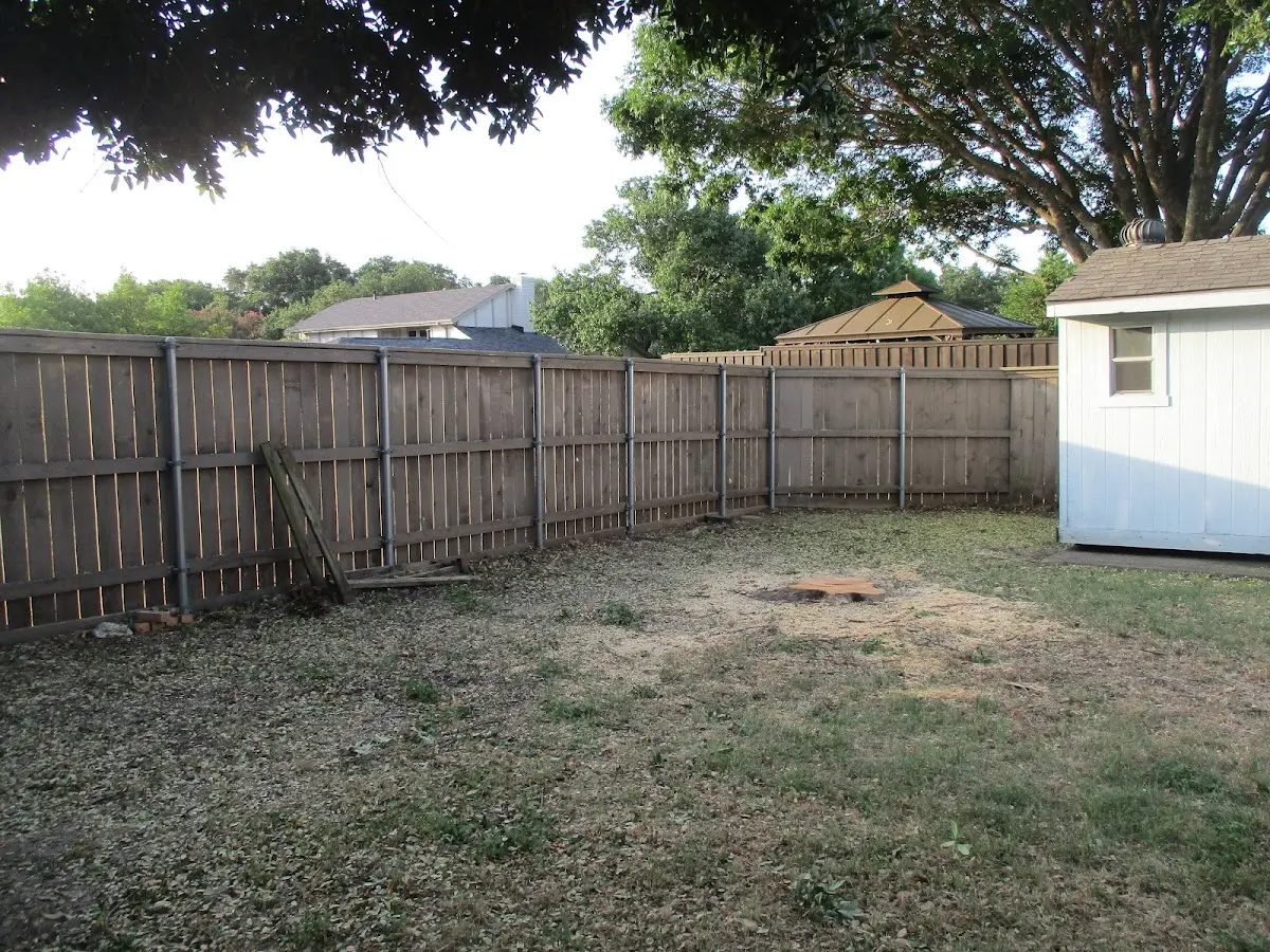 Cleared yard after professional tree removal in Pelican Rapids